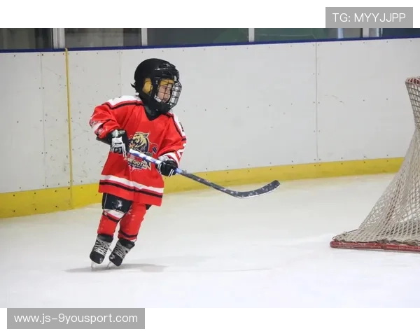 冰球战术演变让比赛更具观赏性